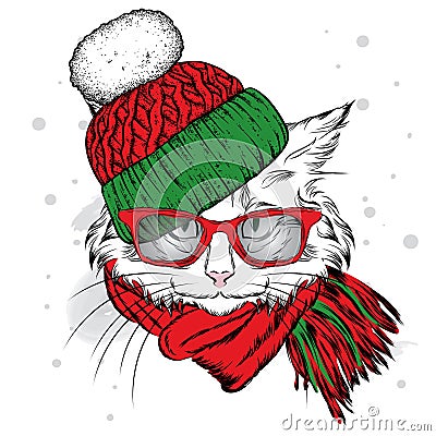 A beautiful cat in a winter hat and scarf. Cute kitten. Vector illustration. Vector Illustration