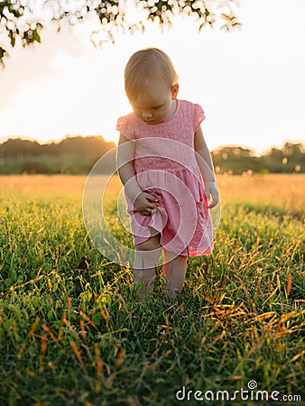 Beautiful child girl in grass with sunset tones. Cute baby in pink dress in park Stock Photo