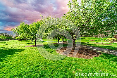 Childrenâ€™s park playground in Suburban Melbourne Victoria Australia. Lovely green grass and nice sunset colours in the sky Stock Photo