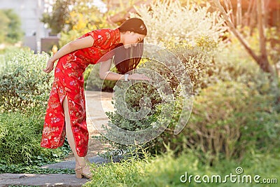 Beautiful Chinese girl in the green park backyard dressing Qipao traditional cloth in Chinese New Year Stock Photo