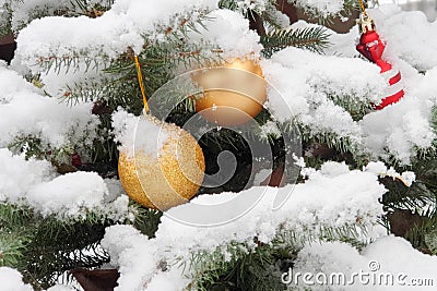 beautiful Christmas decorations on a tree in the snow Stock Photo