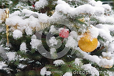 Beautiful Christmas decorations on a tree in the snow Stock Photo