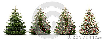 Beautiful christmas trees with Christmas Baubles isolated Stock Photo