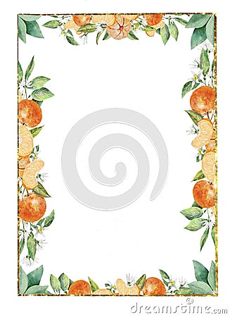 Beautiful citrus golden frame with fruits, leaves and flowers of tangerines. Cartoon Illustration