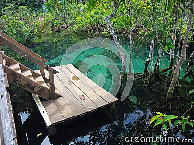 Beautiful clear green water lake with tree forest roots and wooden stairway waterfront in Krabi, Thailand national park. Stock Photo