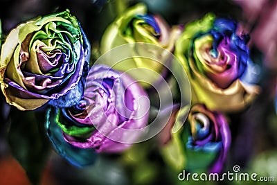 Beautiful closeup shot of psychedelia rainbow rose bouquet - great for a natural background Stock Photo