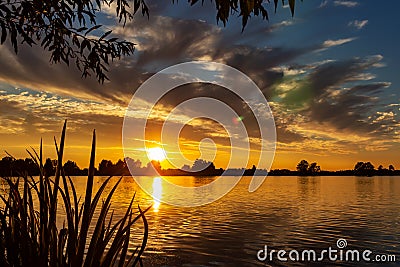 Beautiful clouds during sunset in lake Zoetermeerse plas delineated by willow branches and reeds Stock Photo