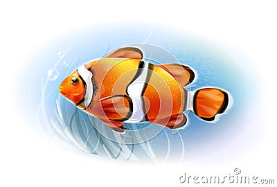 Beautiful clownfish in the sea. Vector Illustration