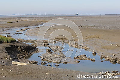 A channel in a tidal muddy beach at the dutch coast in zeeland Stock Photo
