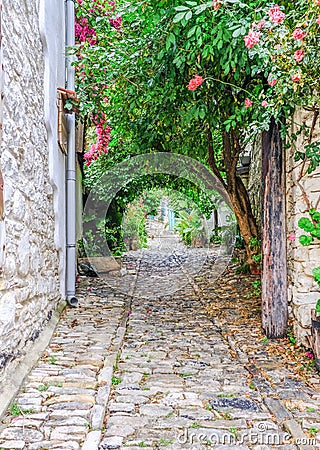 Beautiful cobbled pathway leading through leafy tunnel. Stock Photo