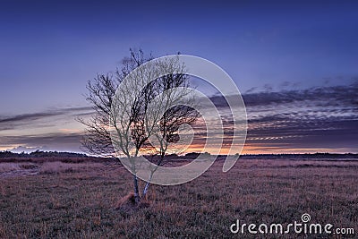 Beautiful colcored sunset on a heat land in; Autumn, The Netherlands Stock Photo