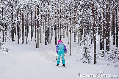 Beautiful cold forest view of ski run track on ski resort, winter day on a slope, pist, nordic skier on the track in winter, Stock Photo