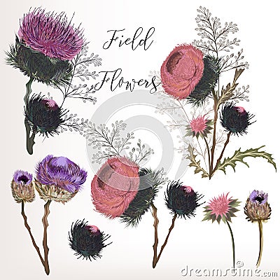 Beautiful collection of field flowers in watercolor drawn style Stock Photo