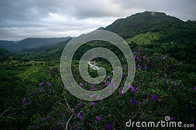 Beautiful Colombian landscapes to enjoy with the family Stock Photo