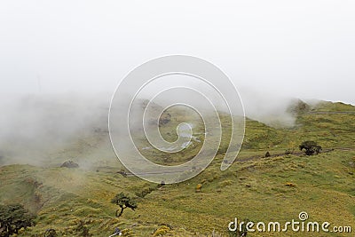 Beautiful colombian paramo ecosystem landscape Stock Photo