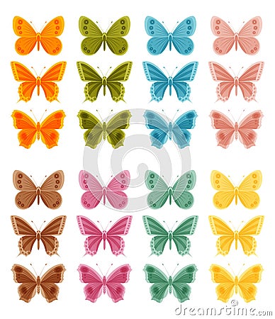 Beautiful colorful butterflies isolated on white background Vector Illustration