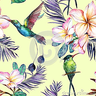 Beautiful colorful colibri and plumeria flowers on light green background. Exotic tropical seamless pattern. Watecolor painting. Cartoon Illustration