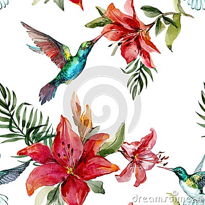 Beautiful colorful flying hummingbirds and bright flowers on whi Cartoon Illustration