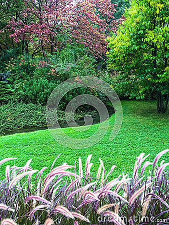 Beautiful colorful garden with green lawn Stock Photo