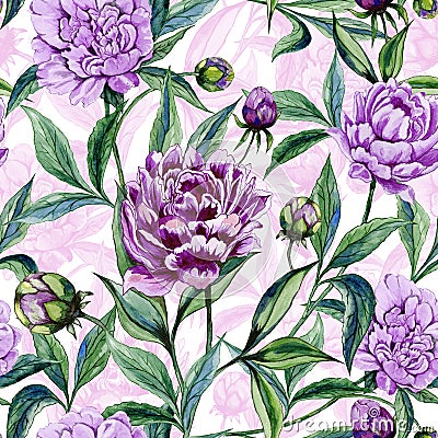 Beautiful colorful peony flowers with leaves, buds and pink outline on white background. Seamless floral pattern. Cartoon Illustration