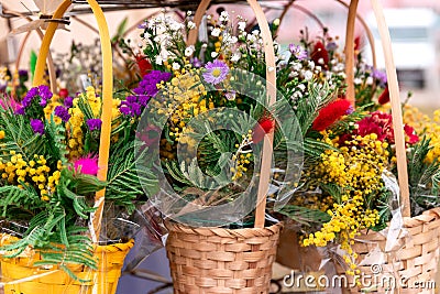 Beautiful colorful spring flowers in a wicker yellow baskets. Copy space for greeting postcard Stock Photo