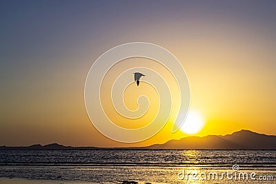 Beautiful colorful sunset over the Red sea. Egypt Stock Photo