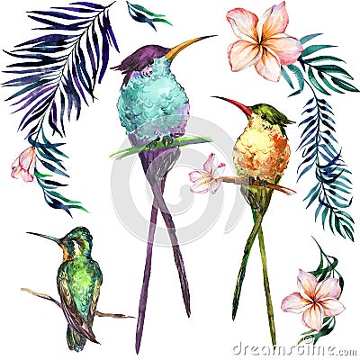 Beautiful colorful tropical birds sitting on branches isolated o Cartoon Illustration