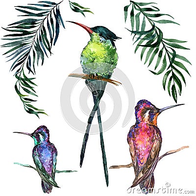 Beautiful colorful tropical birds sitting on branches isolated on white background. Cartoon Illustration