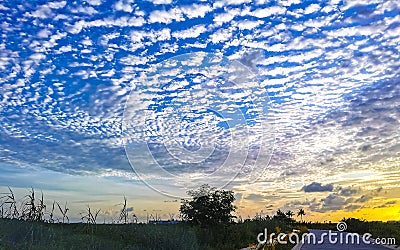 Beautiful colorful tropical sunrise in paradise Playa del Carmen Mexico Stock Photo