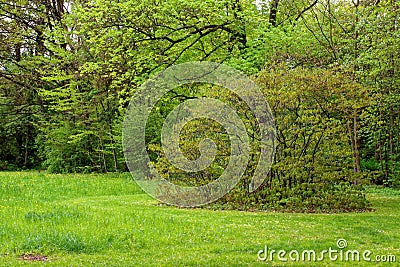 Beautiful colors of nature in the spring Park Stock Photo