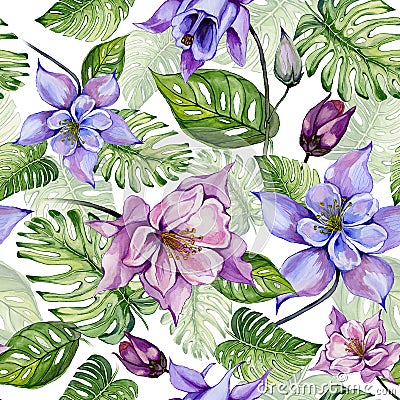 Beautiful columbine flowers or aquilegia and exotic monstera leaves on white background. Watercolor painting. Cartoon Illustration