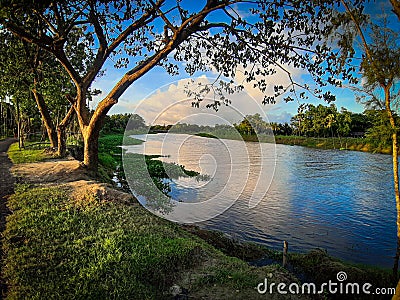 Beautiful combination of tree water and sky Stock Photo