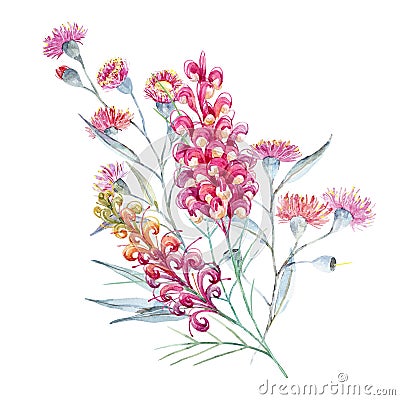 Watercolor australian grevillea composition Stock Photo