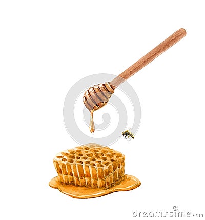 Beautiful composition with watercolor hand drawn honey with spoon. Stock illustration. Cartoon Illustration