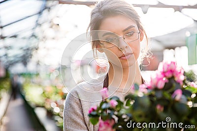 Beautiful concentrated woman florist working with flowers Stock Photo