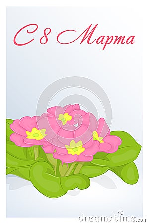 Beautiful congratulation or greeting card for women`s day with Primula in snow. Russian translation: 8 March. Holiday greetings ba Vector Illustration