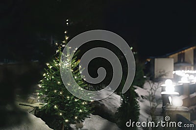 Beautiful conifer tree with Christmas lights in snow drift Stock Photo