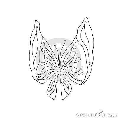 Beautiful contour drawing of a butterfly Vector Illustration