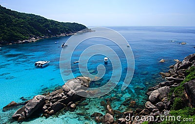Beautiful coral view at similan island Stock Photo