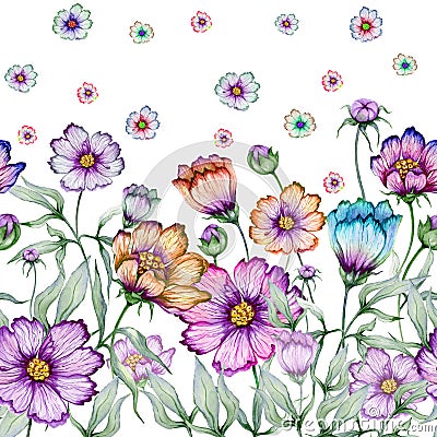 Beautiful cosmos flowers with green leaves on white background. Seamless floral pattern. Watercolor painting. Cartoon Illustration