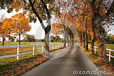 Beautiful country road in autumn Stock Photo