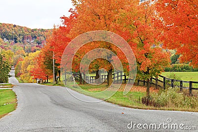 Beautiful country road in autumn foliage Stock Photo