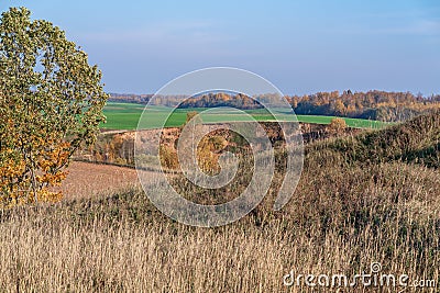 View from hill to green field, distant forest Stock Photo