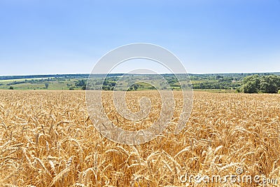 Beautiful countryside landscape Stock Photo