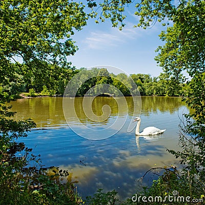 Beautiful countryside scene Stock Photo