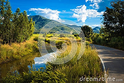 Countryside View in Thailand Stock Photo