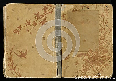 Beautiful cover of a vintage book with floral frame an blank label for your text. Stock Photo