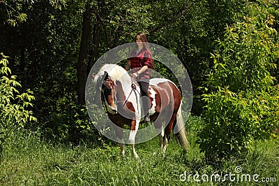 Beautiful cowgirl bareback ride her horse in woods glade. Equine, people Stock Photo