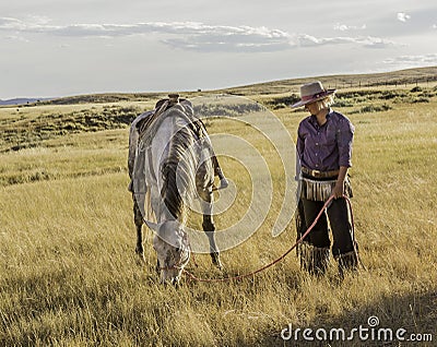 Beautiful Cowgirl with Horse Stock Photo