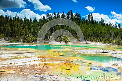 Beautiful Crackling Lake with trees in backgrounds in Norris Geyser Basin, Yellowstone National Park, Wyoming, USA. Stock Photo